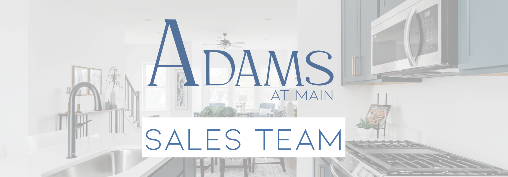 meet the team adams street